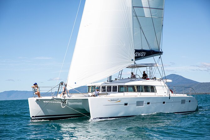 Afternoon Low Isles Snorkelling & Sunset Sail from Port Douglas - Sunset Sail Back to Port Douglas With Afternoon Tea