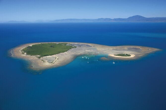 Afternoon Low Isles Snorkelling & Sunset Sail from Port Douglas - Price and Value: Is $243.86 Worth It?