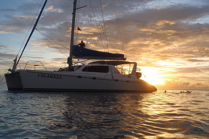 Afternoon Luxury Catamaran Sailing and Charter Cruise from Bridgetown - Key points before you book