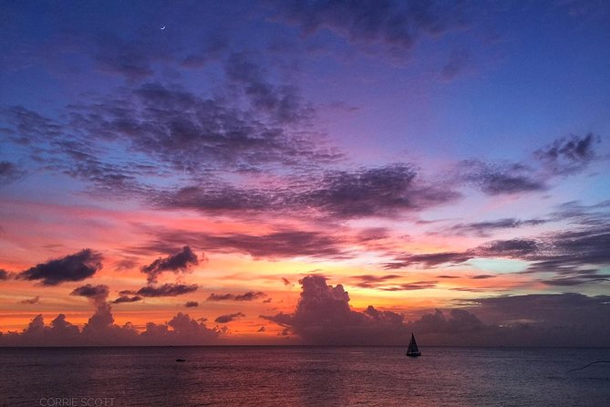 Afternoon Luxury Catamaran Sailing and Charter Cruise from Bridgetown - Stop one: the late-day turtles swim that’s calmer than you expect