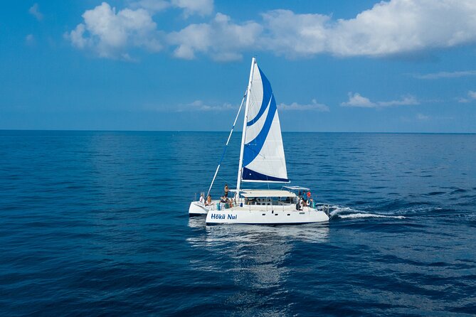 Afternoon Sail & Snorkel to the Captain Cook Monument - Kona’s 3-hour afternoon window: why timing matters