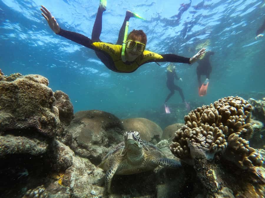 Airlie Beach: Whitsunday Islands Sailing, SUP & Snorkel Tour - What Makes This Tour Good Value for $162