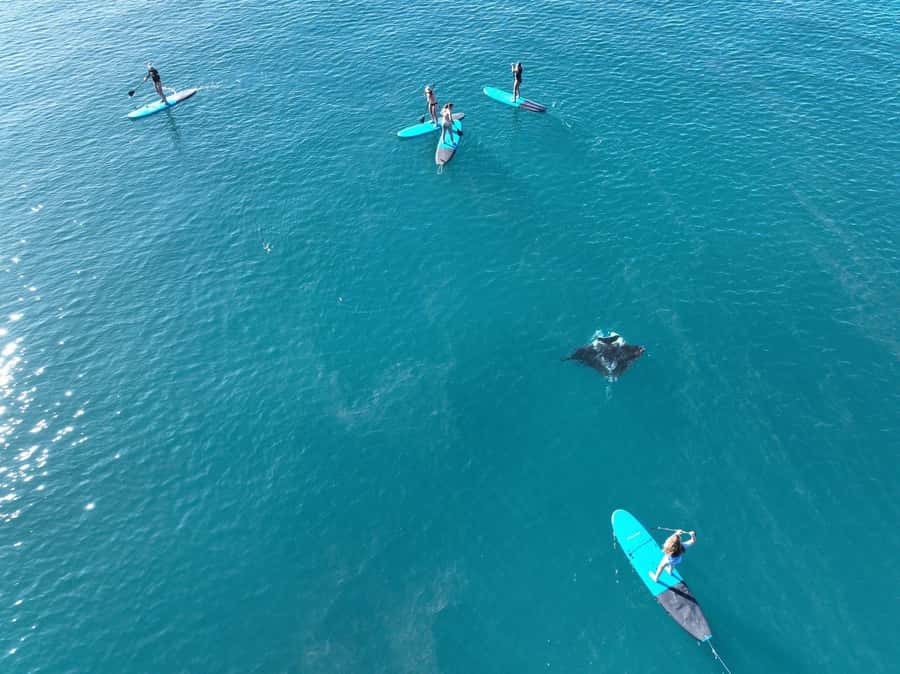 Airlie Beach: Whitsunday Islands Sailing, SUP & Snorkel Tour - Onboard Comfort Between Activities (Where Time Actually Feels Easy)
