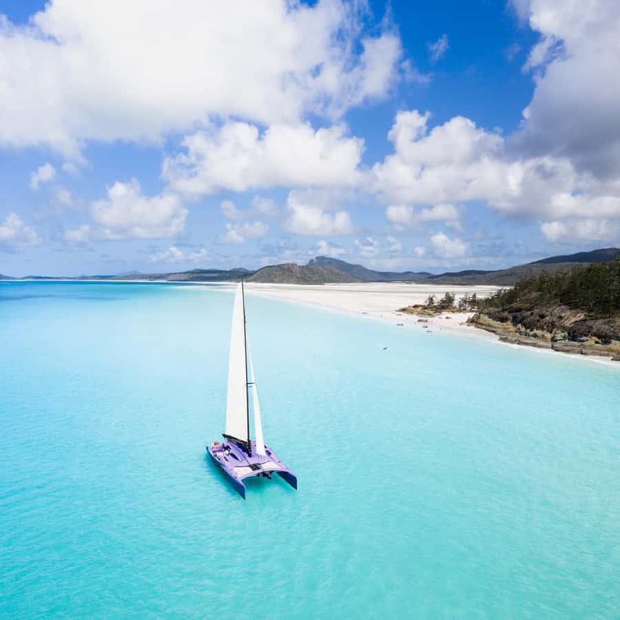 Airlie Beach: Whitsundays Full-Day Camira Sailing Adventure - Snorkelling the fringing reef: about 1 hour, and know the rules
