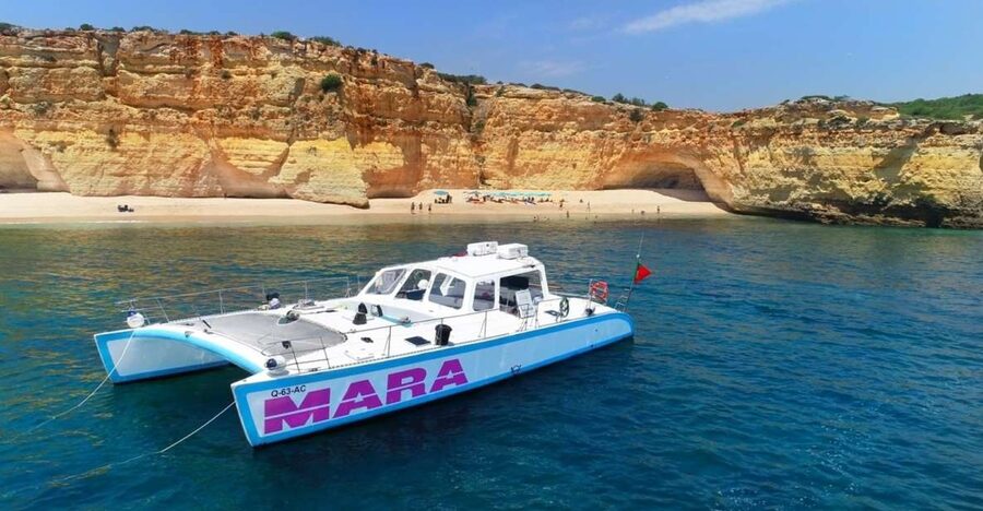 Albufeira: Catamaran Cruise with BBQ & Open Bar on the Beach - Key Highlights You’ll Want to Know