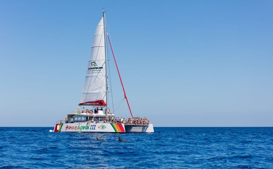 Alcudia: Sunset Catamaran Tour with Dinner and Snorkeling - Leaving Alcúdia for a quieter side of Mallorca