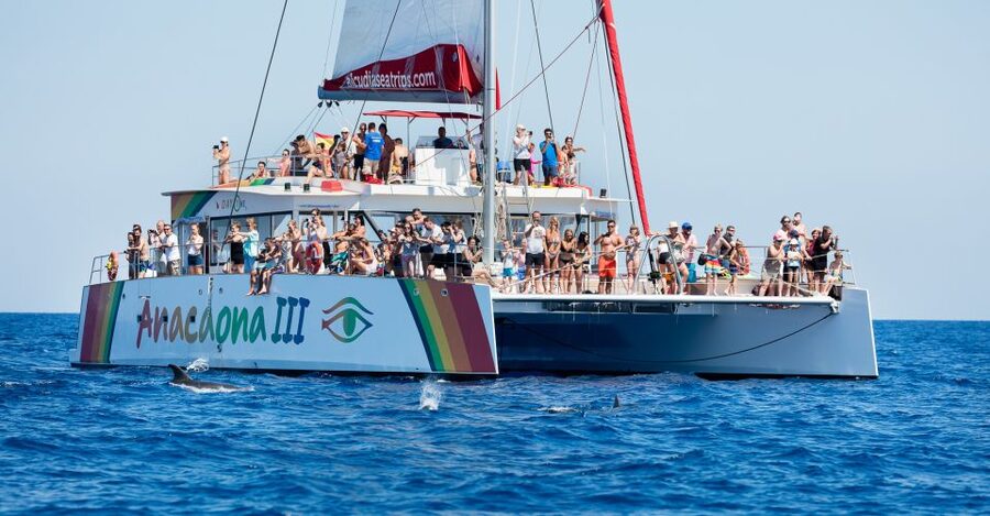 Alcudia: Sunset Catamaran Tour with Dinner and Snorkeling - What the catamaran experience really feels like