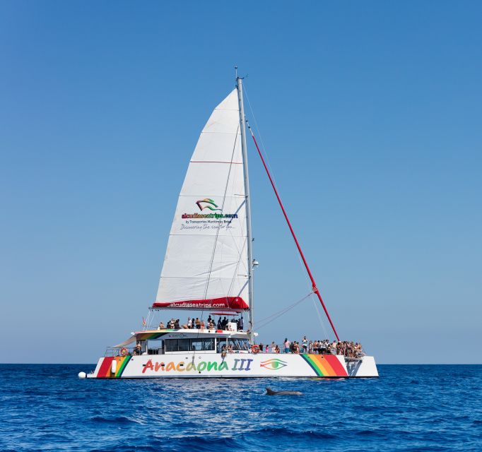 Alcudia: Sunset Catamaran Tour with Dinner and Snorkeling - Dinner onboard: simple, filling, and easy on a moving boat