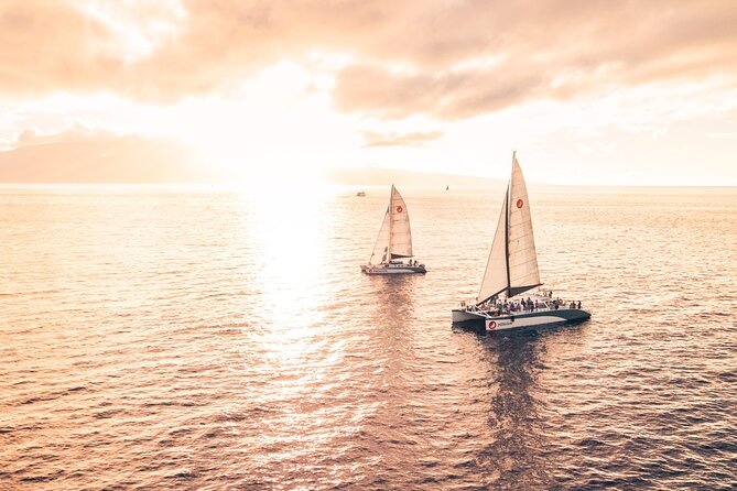 'Alihilani Sunset Sail from Ma'alaea Harbor - Snacks, open bar, and BYOB: how to plan your drink situation