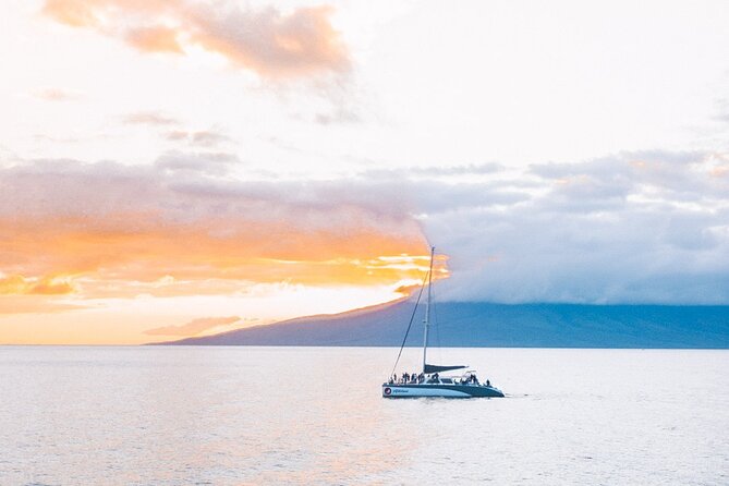 'Alihilani Sunset Sail from Ma'alaea Harbor - Whale chances in winter to spring: spotting without expectations overload