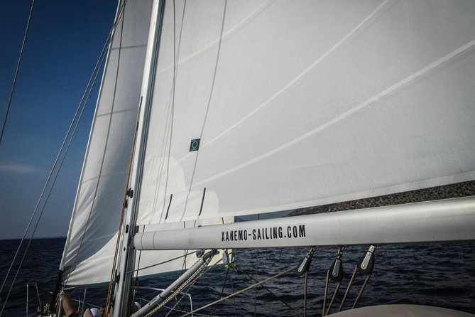 All inclusive day sailing tour from Naxos to the small cyclades - Snorkeling in Clear Water: What You Should Expect