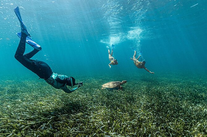 All-Inclusive Isla Mujeres Catamaran with Free Transportation - El Meco Reef snorkeling: guided, geared, and built for real reef time