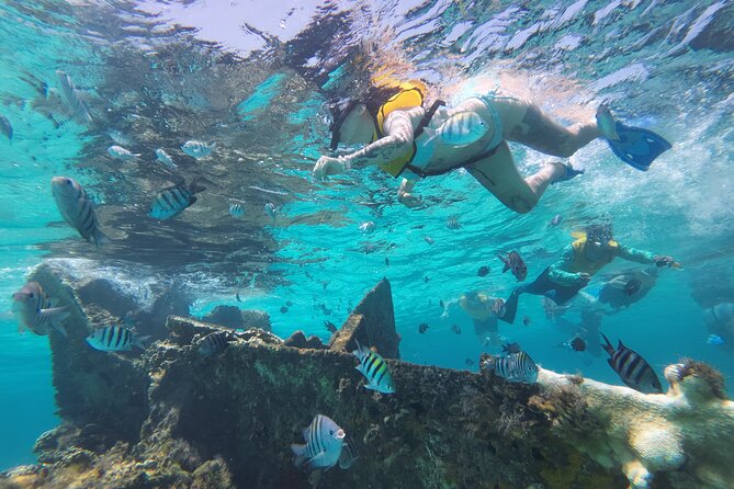 All-Inclusive Isla Mujeres Catamaran with Free Transportation - Downtown Isla Mujeres free time and the tequila tasting perk