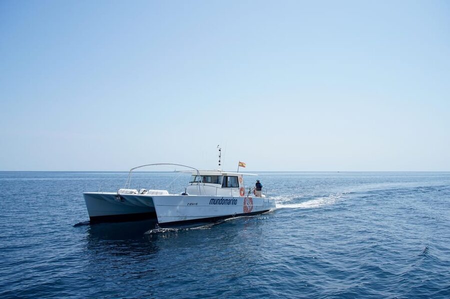 Altea: Catamaran Tour with Sunset Option - Comfort and Seating: Net Seating vs Regular Spots