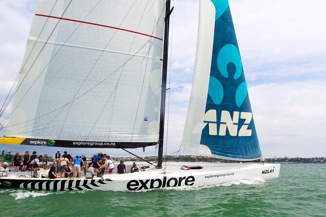 America's Cup Sailing on Auckland's Waitemata Harbour - Key Highlights