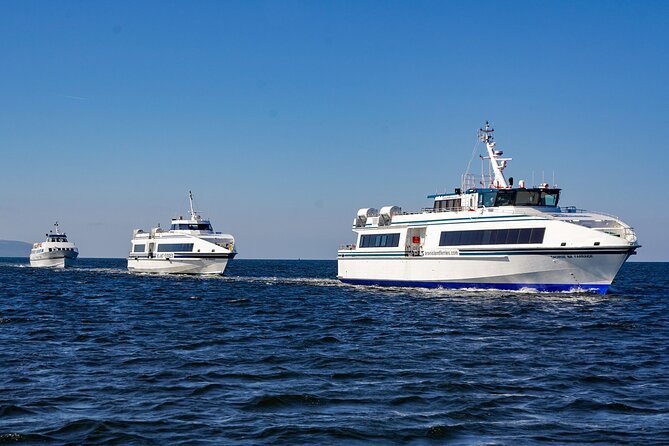 Aran Islands and Cliffs of Moher Day Cruise sailing from Galway City Docks - The open-water crossing: wildlife spotting, wind, and real sea conditions