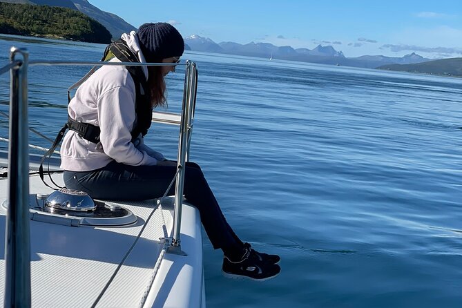 Arctic Fjordcruise & Safari in Tromso with Luxury Catamaran - Rya’s strong current: sea birds and dolphins where they actually show up