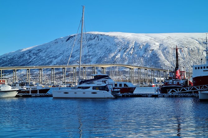 Arctic Fjordcruise & Safari in Tromso with Luxury Catamaran - Routes, scenery, and how to get the best views on a moving catamaran