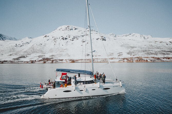 Arctic Fjordcruise & Safari in Tromso with Luxury Catamaran - Stop 1: Tromsø Fjords, culture, and the Tirpitz WW2 story