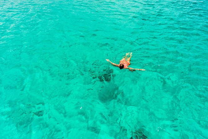 Aruba Afternoon Snorkel Sail aboard Palm Pleasure Catamaran - Stop 2: Boca Catalina reef time with fish-filled water