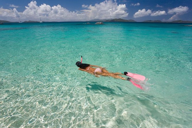 Aruba Morning Snorkel Sail aboard Palm Pleasure Catamaran - Price and Value: Why $124 Feels More Like an Experience Bundle