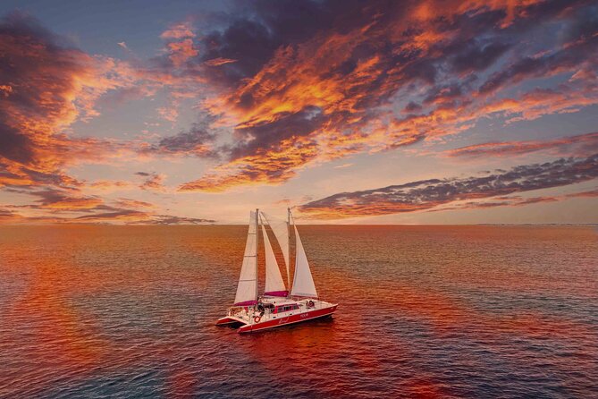 Aruba Morning Snorkeling or Sunset Sail to Boca Catalina With BBQ - Key highlights worth planning for