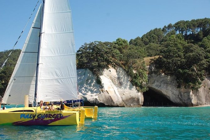 Arvo of goodness Chilled out Sail (3.5hrs) - Chilled-out sailing on the Coromandel: Cathedral Cove views, minus the rush