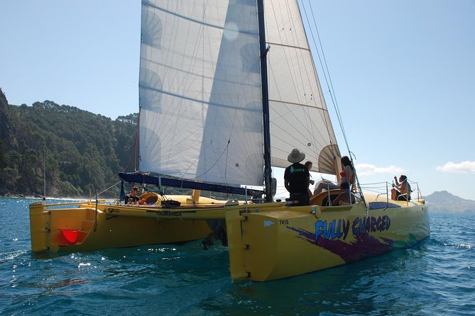 Arvo of goodness Chilled out Sail (3.5hrs) - Cathedral Cove from the water: the iconic archway moment