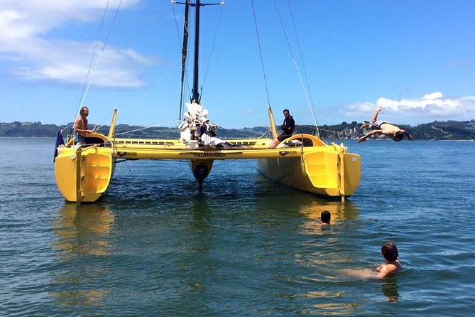 Arvo of goodness Chilled out Sail (3.5hrs) - Who should book this chilled-out private sail (and who might not)