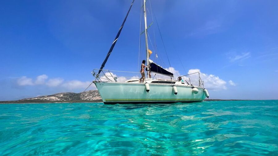Asinara: Full Day Sailboat Excursion from Stintino - Mid-Morning Aperitif: Sardinia Before Lunch