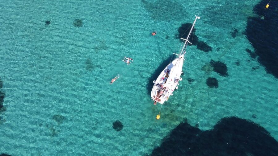 Asinara: Full Day Sailboat Excursion from Stintino - Asinara Island Shore Time: Donkeys, Horses, and Park Feel