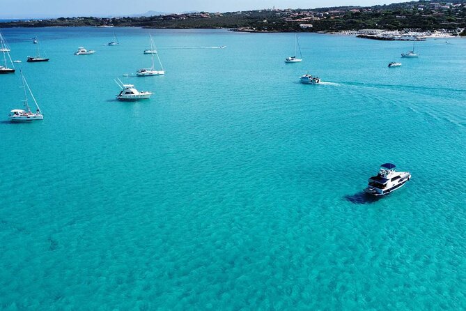 Asinara: Sailing trip in the park of Asinara - Lunch on board: local fish, drinks, and a very human host