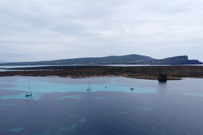Asinara: Sailing trip in the park of Asinara - Who this sailing trip suits (and who might not)