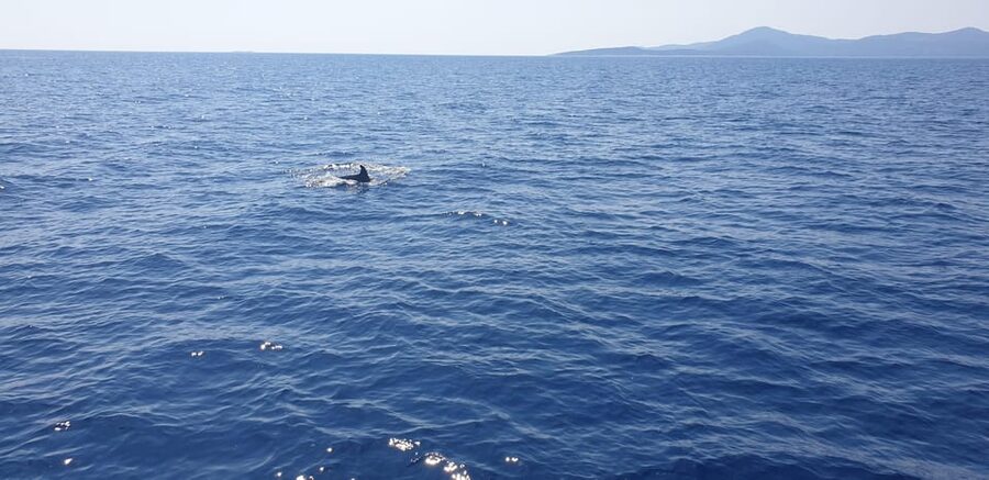 Athens: Riviera Catamaran Tour with Fresh Meal and Drinks - Voula stop: another swim, photos, and free time