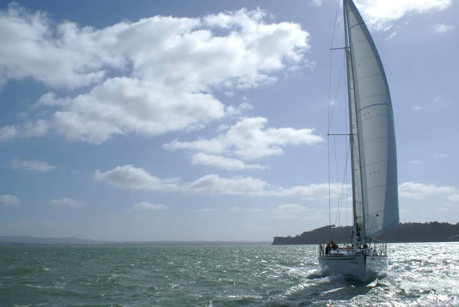 Auckland Harbour 1.5-Hour Sailing Cruise - Weather, wind, and timing: how to choose your best sail day