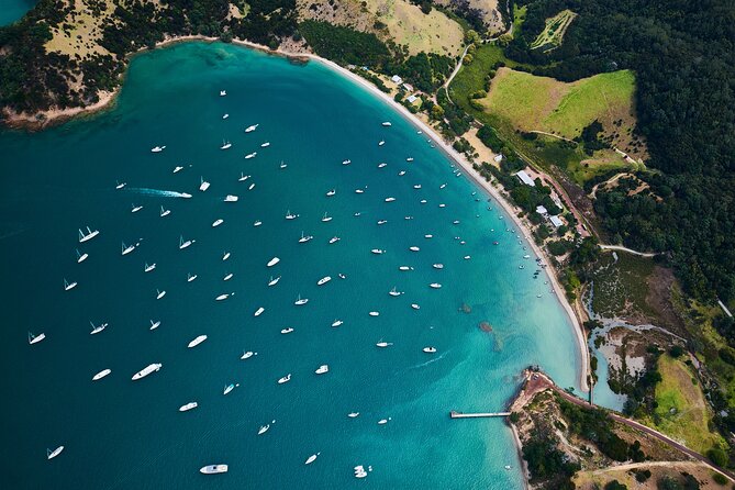 Auckland Harbour Sailboat Cruise Including Three Course Dinner - Sailing fun onboard: hoist sails, steer, and ask questions