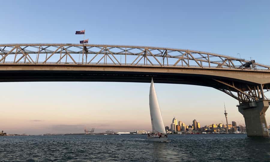 Auckland: Harbour Sailing Cruise with 3-Course Dinner - Key moments that make this cruise worth your time