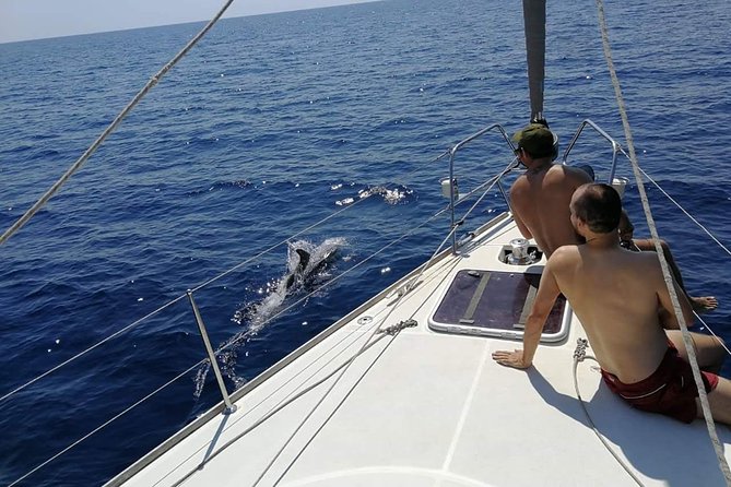Authentic Barcelona Sailing Tour with Swim & Drinks - Small-Group Sailing: Safety, Friendliness, and Real Personality
