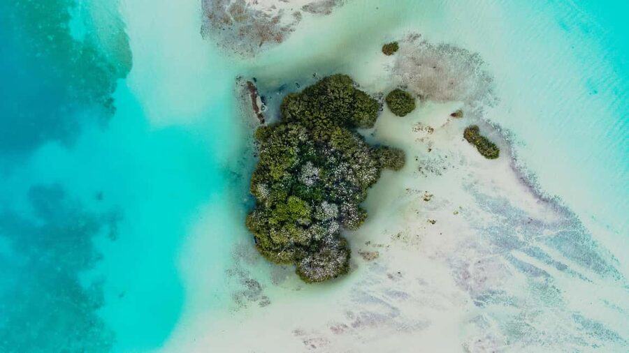 Bacalar Lagoon Sailing Tour with Open Bar and Mexican Lunch - The Abandoned Hotel Area and Swimming in Clear Turquoise