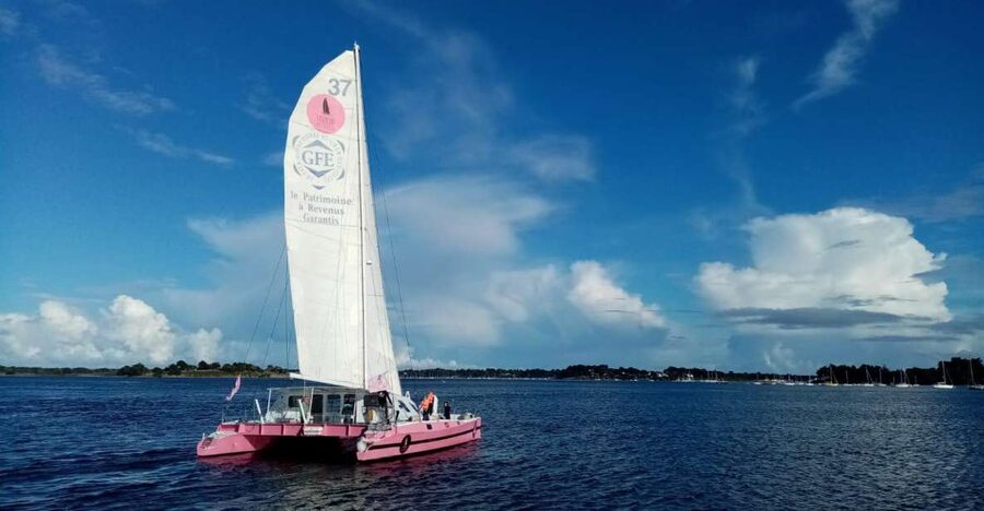 Baden: Gulf of Morbihan Exploration by Catamaran - Sailing the Bay and spotting Teigneuse lighthouse
