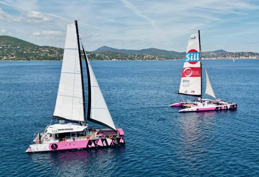 Baden: Gulf of Morbihan Exploration by Catamaran - Arradon and Île d’Arz: classic Gulf-of-Morbihan vibes