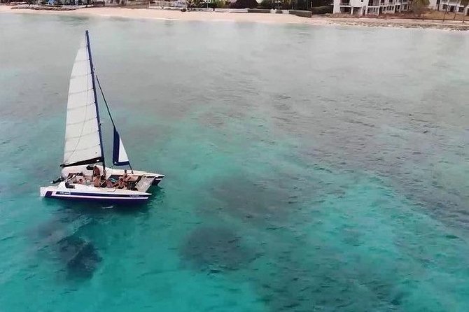 Barbados Catamaran Snorkel Cruise with Lunch and Open Bar - Carlisle Bay: turtles first, wrecks if conditions allow