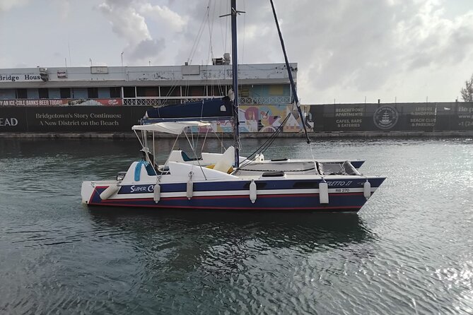 Barbados Catamaran Snorkel Cruise with Lunch and Open Bar - The Bajan buffet lunch: what you should expect
