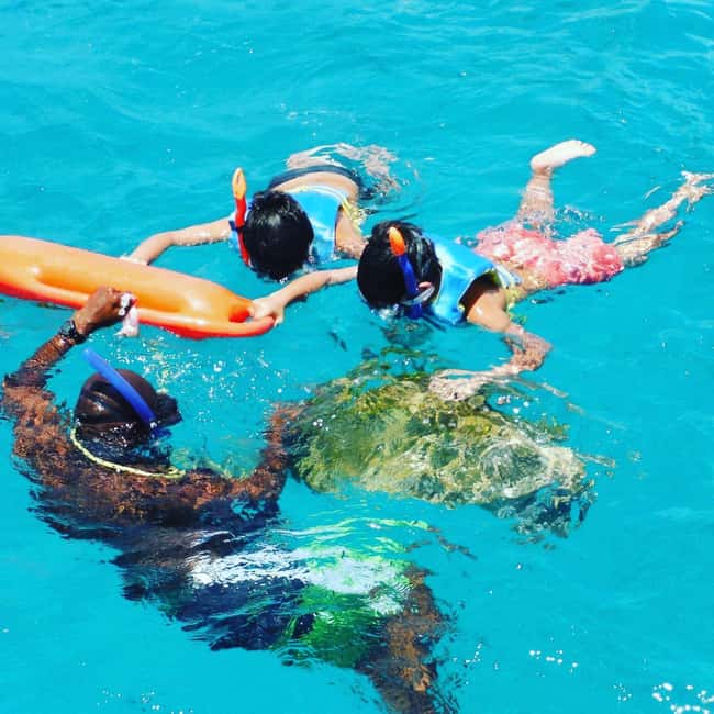 Barbados: Catamaran Tour with Snorkeling and Lunch - Turtle Snorkeling Stop: How You Get From Boat to Sea Life
