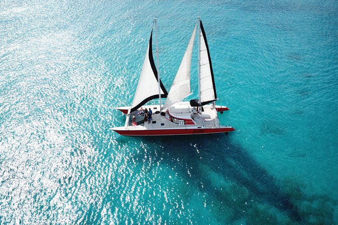 Barbados Catamaran Turtle and Shipwreck Snorkeling Cruise - Stop 1: Snorkeling for Sea Turtles in Warm Caribbean Water