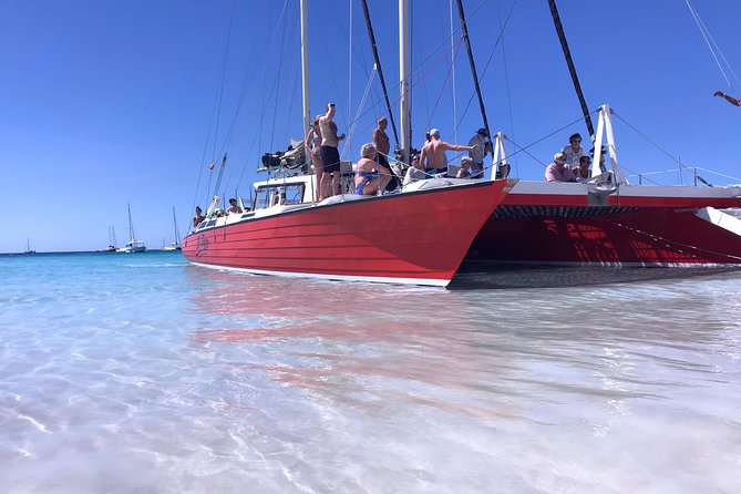 Barbados Catamaran Turtle and Shipwreck Snorkeling Cruise - Stop 2: The Shipwreck That Turns Into a Fish Magnet