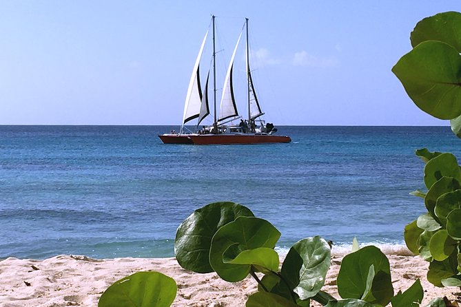 Barbados Catamaran Turtle and Shipwreck Snorkeling Cruise - 3 Hours vs 5 Hours: How Your Day Changes