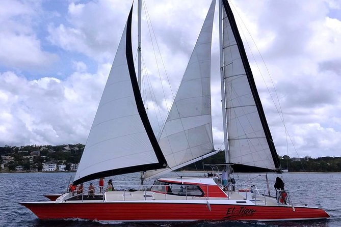 Barbados Catamaran Turtle and Shipwreck Snorkeling Cruise - Value Math: What $85 Buys You on El Tigre