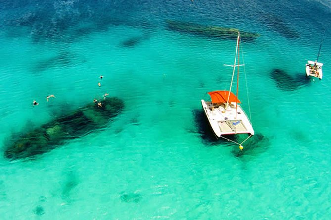 Barbados Catamaran Turtle Snorkel with Lunch and Open Bar - Key Highlights You’ll Care About
