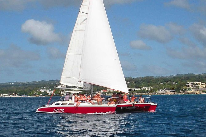 Barbados Catamaran Turtle Snorkel with Lunch and Open Bar - Why This Catamaran Feels Less Like a Tour and More Like a Day Out
